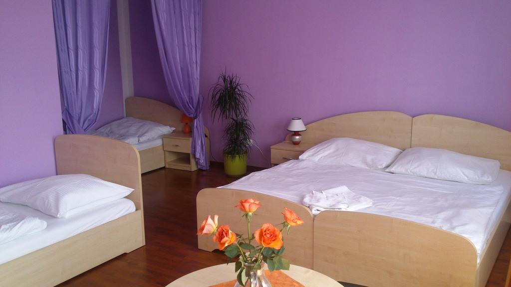 Hotel & Motorest V Udoli Zlateho Potoka Blsany Rom bilde