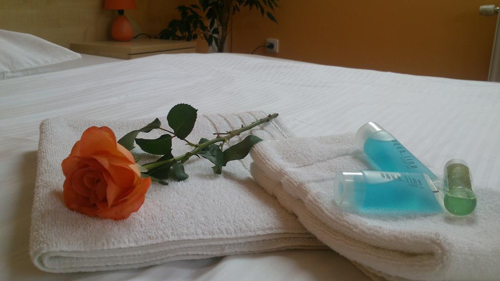 Hotel & Motorest V Udoli Zlateho Potoka Blsany Rom bilde